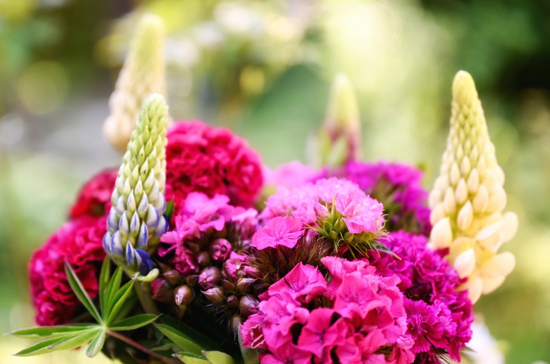 fleuriste-LA CRAU-min_flowers-5369794